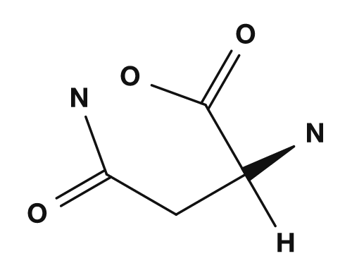 Formule développée de l'asparagine