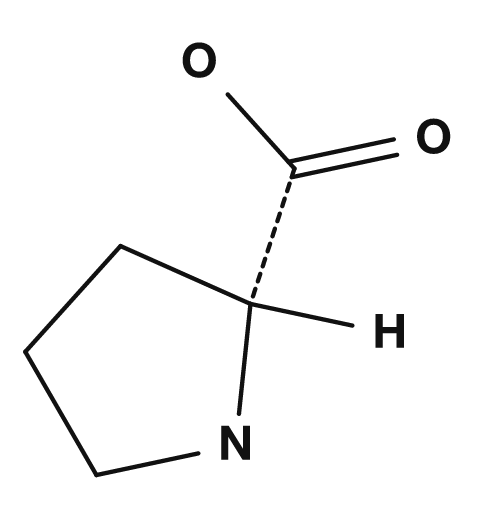 Formule développée de la proline