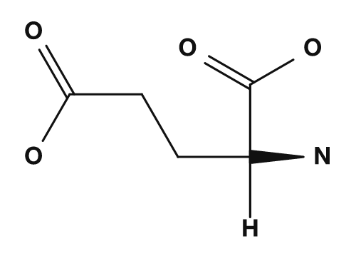 Struktur von Glutaminsäure